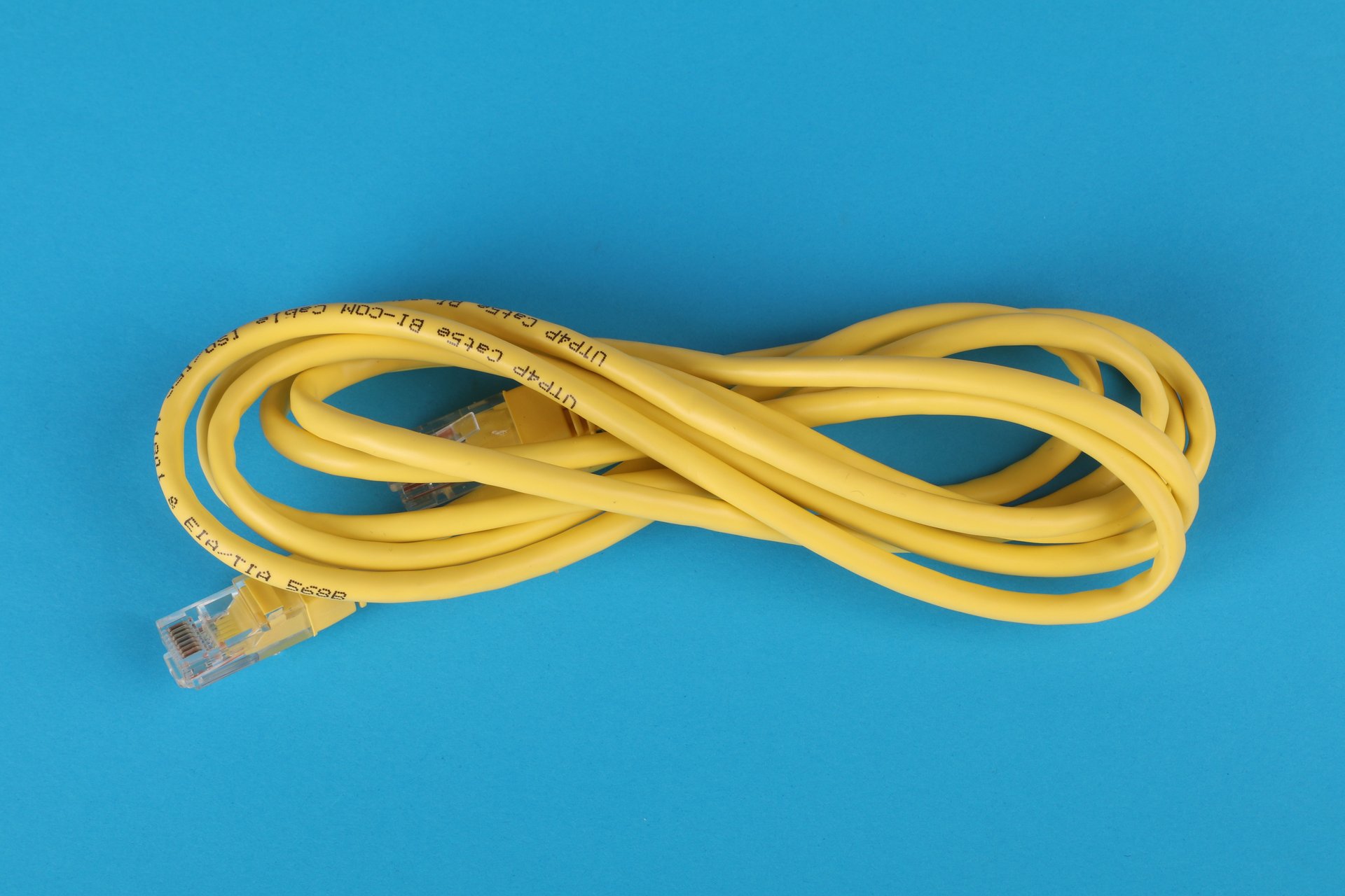 Conector RJ45 crimpado en cable UTP Cat6 listo para conectar cámara IP PoE